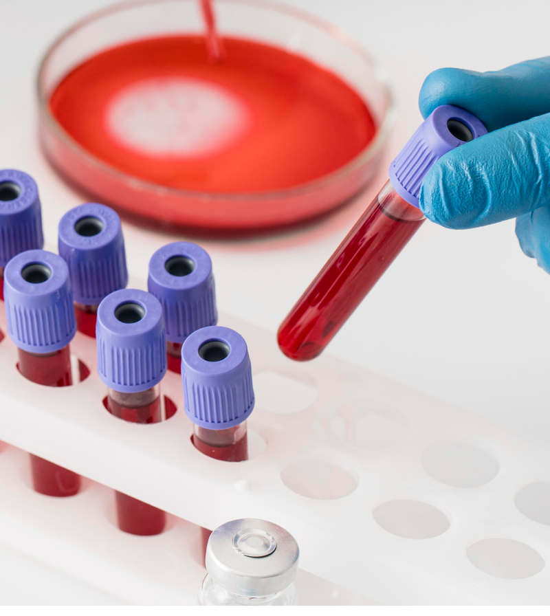 3.	Blood health and Haematology support